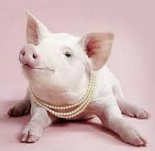 Sis, are you throwing your pearls to pigs?